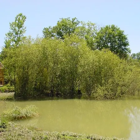 Apartment Truffe Du Quercy - Le Colombie Payrac
